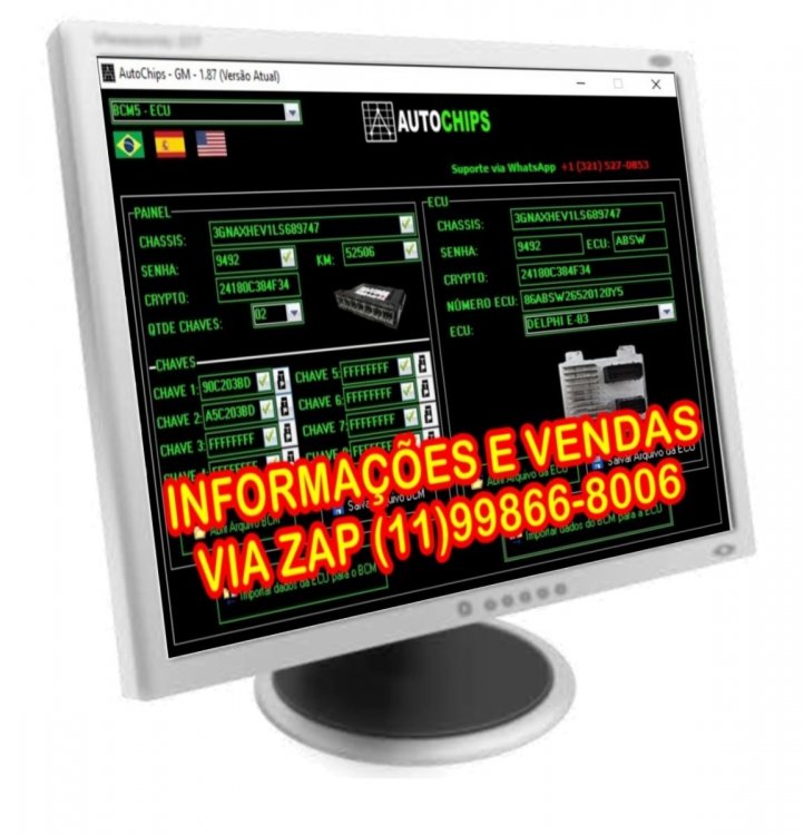 AUTOCHIPS 1.87 - ESQUEMAUTO.jpg